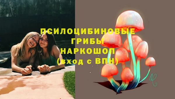mix Осинники