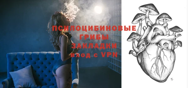 твердый Алексин