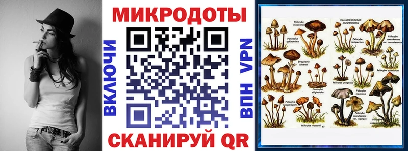 Галлюциногенные грибы мицелий  Чадан 