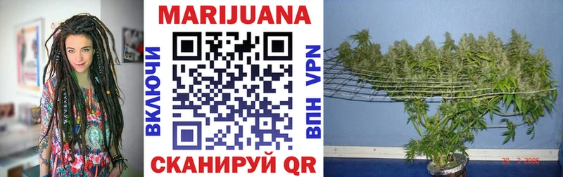 купить   Чадан  Каннабис марихуана 